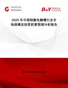 2025年中國制氟電解槽行業(yè)市場規(guī)模及投資前景預測分析報告
