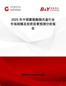 2025年中國聚氨酯拋光盤行業市場規模及投資前景預測分析報告