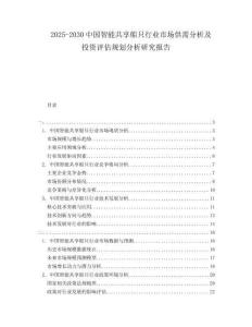 2025-2030中國智能共享船只行業(yè)市場供需分析及投資評估規(guī)劃分析研究報告