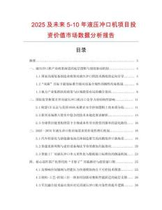 2025及未來5-10年液壓沖口機項目投資價值市場數(shù)據(jù)分析報告