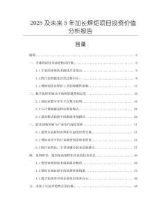 2025及未來5年加長焊炬項目投資價值分析報告