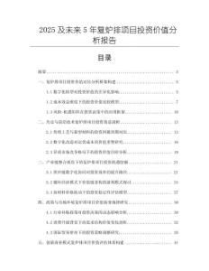 2025及未來(lái)5年復(fù)爐排項(xiàng)目投資價(jià)值分析報(bào)告