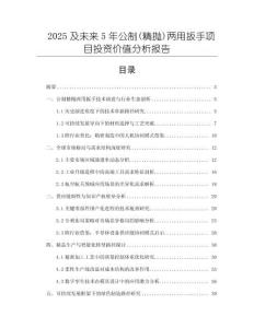 2025及未來5年公制(精拋)兩用扳手項目投資價值分析報告