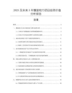 2025及未來5年爆旋枕巾項目投資價值分析報告