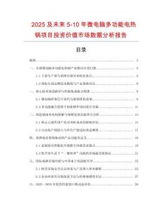 2025及未來5-10年微電腦多功能電熱鍋項目投資價值市場數據分析報告