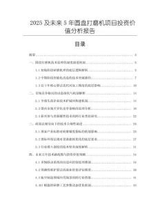 2025及未來5年圓盤打磨機項目投資價值分析報告