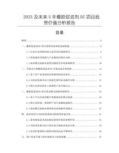 2025及未來5年橡膠促進(jìn)劑DZ項(xiàng)目投資價(jià)值分析報(bào)告