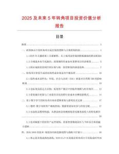 2025及未來5年轉角項目投資價值分析報告