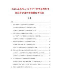 2025及未来5-10年PP热切造粒机项目投资价值市场数据分析报告