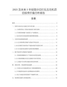 2025及未來(lái)5年鋁箔分切打孔壓花機(jī)項(xiàng)目投資價(jià)值分析報(bào)告