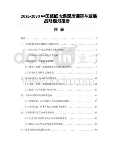 2026-2030中國漿紙市場深度調(diào)研與發(fā)展戰(zhàn)略規(guī)劃報告