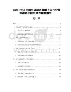 2026-2030中國甲磺酸西羅哌卡因行業(yè)需求動(dòng)態(tài)及應(yīng)用潛力預(yù)測(cè)報(bào)告