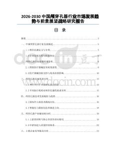 2026-2030中國顱穿孔器行業(yè)市場發(fā)展趨勢與前景展望戰(zhàn)略研究報告