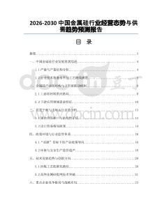 2026-2030中國金屬硅行業經營態勢與供需趨勢預測報告