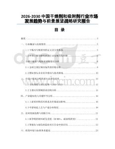 2026-2030中國干燥劑和吸附劑行業(yè)市場發(fā)展趨勢與前景展望戰(zhàn)略研究報(bào)告