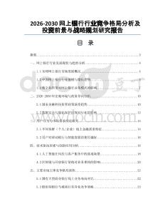 2026-2030網(wǎng)上銀行行業(yè)競爭格局分析及投資前景與戰(zhàn)略規(guī)劃研究報告