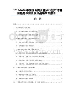 2026-2030中國(guó)混合陶瓷軸承行業(yè)市場(chǎng)發(fā)展趨勢(shì)與前景展望戰(zhàn)略研究報(bào)告
