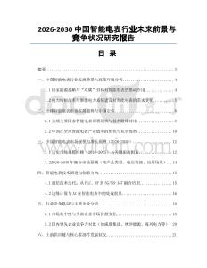 2026-2030中國智能電表行業(yè)未來前景與競爭狀況研究報告