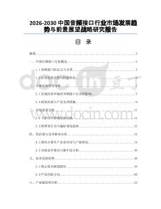2026-2030中國音頻接口行業(yè)市場發(fā)展趨勢與前景展望戰(zhàn)略研究報(bào)告