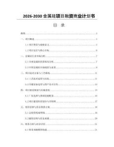2026-2030金屬硅項目融資商業計劃書