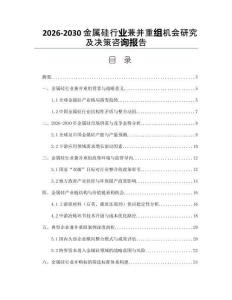 2026-2030金屬硅行業兼并重組機會研究及決策咨詢報告