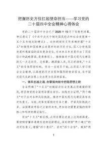 把握歷史方位扛起使命擔當——學習黨的二十屆四中全會精神心得體會