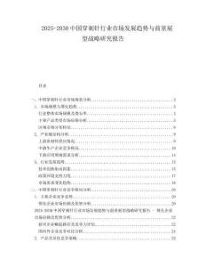 2025-2030中國穿刺針行業市場發展趨勢與前景展望戰略研究報告