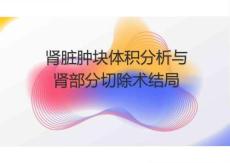 腎臟腫塊體積分析與腎部分切除術(shù)結(jié)局2025