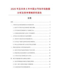 2025年及未來5年中國分汽包市場數(shù)據(jù)分析及競爭策略研究報(bào)告
