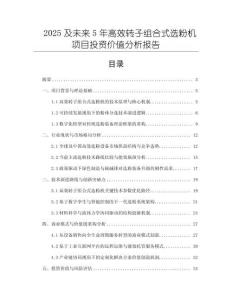 2025及未來5年高效轉子組合式選粉機項目投資價值分析報告