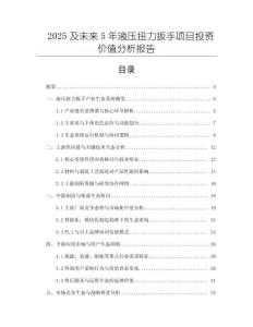2025及未來5年液壓扭力扳手項目投資價值分析報告