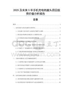 2025及未來5年手機(jī)充電轉(zhuǎn)接頭項(xiàng)目投資價(jià)值分析報(bào)告