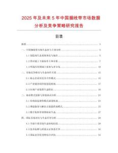 2025年及未來5年中國捆線帶市場數據分析及競爭策略研究報告