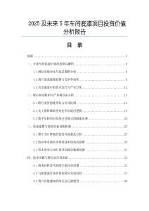 2025及未來5年車間底漆項目投資價值分析報告
