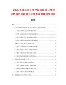 2025年及未來5年中國合成塔U型電加熱器市場數據分析及競爭策略研究報告