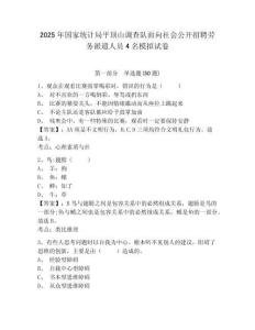 2025年国家统计局平顶山调查队面向社会公开招聘劳务派遣人员4名模拟试卷有完整答案详解