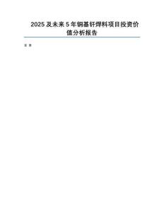 2025及未來5年銅基釬焊料項目投資價值分析報告