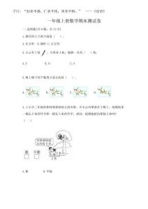2025年一年級(jí)上冊(cè)數(shù)學(xué)期末測(cè)試卷及完整答案【奪冠系列】
