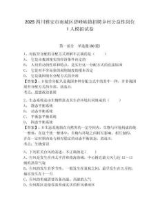 2025四川雅安市雨城區(qū)碧峰峽鎮(zhèn)招聘鄉(xiāng)村公益性崗位1人模擬試卷及答案詳解（考點(diǎn)梳理）