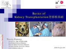 腎移植基礎