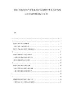 2025固態電池產業化瓶頸評估及材料體系競爭格局與政府引導基金投向研究