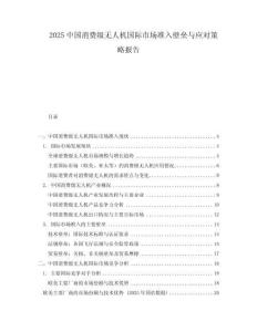 2025中國消費級無人機國際市場準入壁壘與應對策略報告