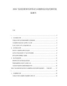2026馬拉松賽事經濟帶動專業跑鞋技術迭代路徑追蹤報告