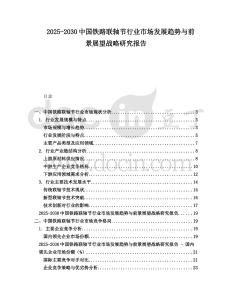 2025-2030中國鐵路聯軸節行業市場發展趨勢與前景展望戰略研究報告