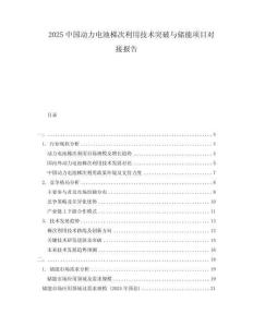 2025中國動力電池梯次利用技術(shù)突破與儲能項(xiàng)目對接報(bào)告