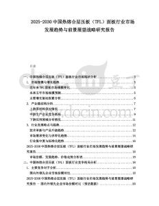 2025-2030中國熱熔合層壓板（TFL）面板行業(yè)市場發(fā)展趨勢與前景展望戰(zhàn)略研究報告