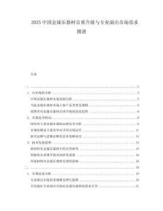 2025中國金屬樂器材音質(zhì)升級與專業(yè)演出市場需求圖譜