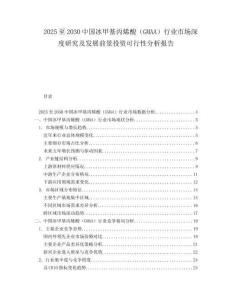 2025至2030中國冰甲基丙烯酸（GMAA）行業市場深度研究及發展前景投資可行性分析報告