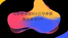 胃靜脈曲張EUS引導(dǎo)彈簧圈栓塞術(shù)PPT
