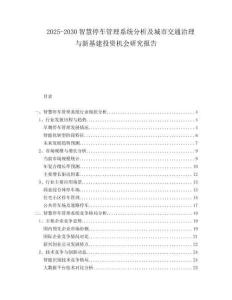 2025-2030智慧停车管理系统分析及城市交通治理与新基建投资机会研究报告